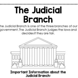 Judicial branch in a flash answers