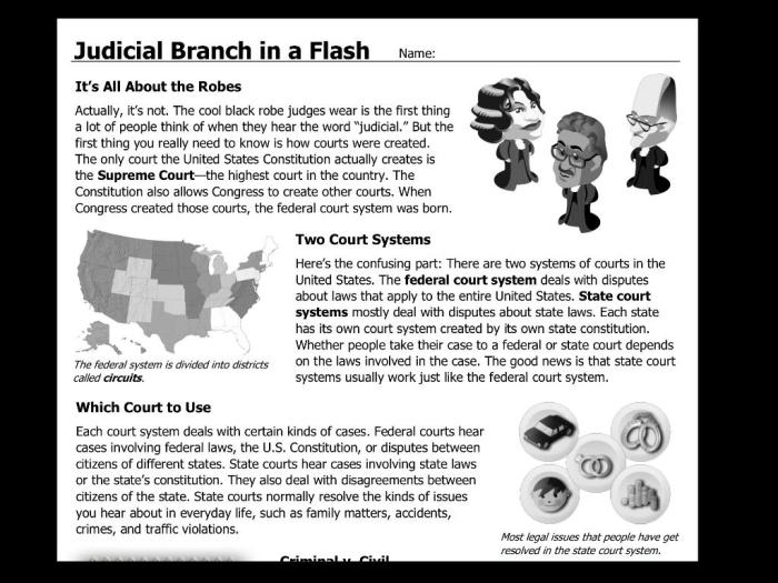 Judicial branch in a flash answers