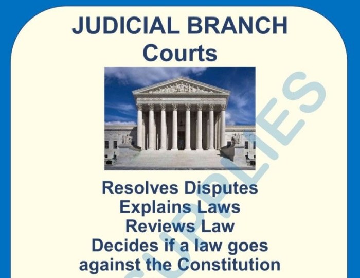 Judicial branch in a flash answers