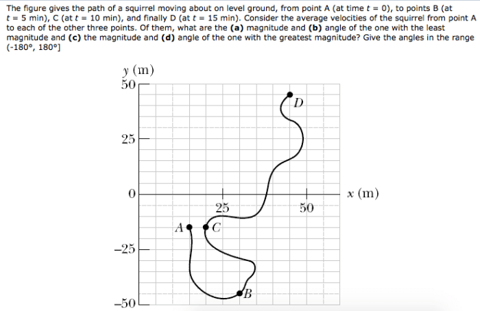 The figure gives the path of a squirrel