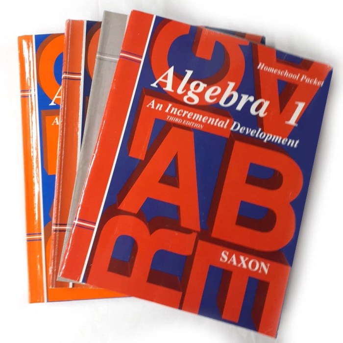 Saxon algebra 1 3rd edition solutions manual pdf