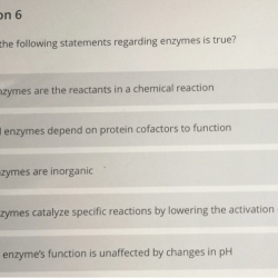 Following statements apply which solved transcribed problem text been show has proton